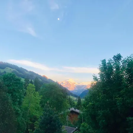 Chez Alberth In Schoenried Gstaad